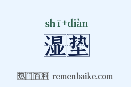 湿垫是什么意思的图片